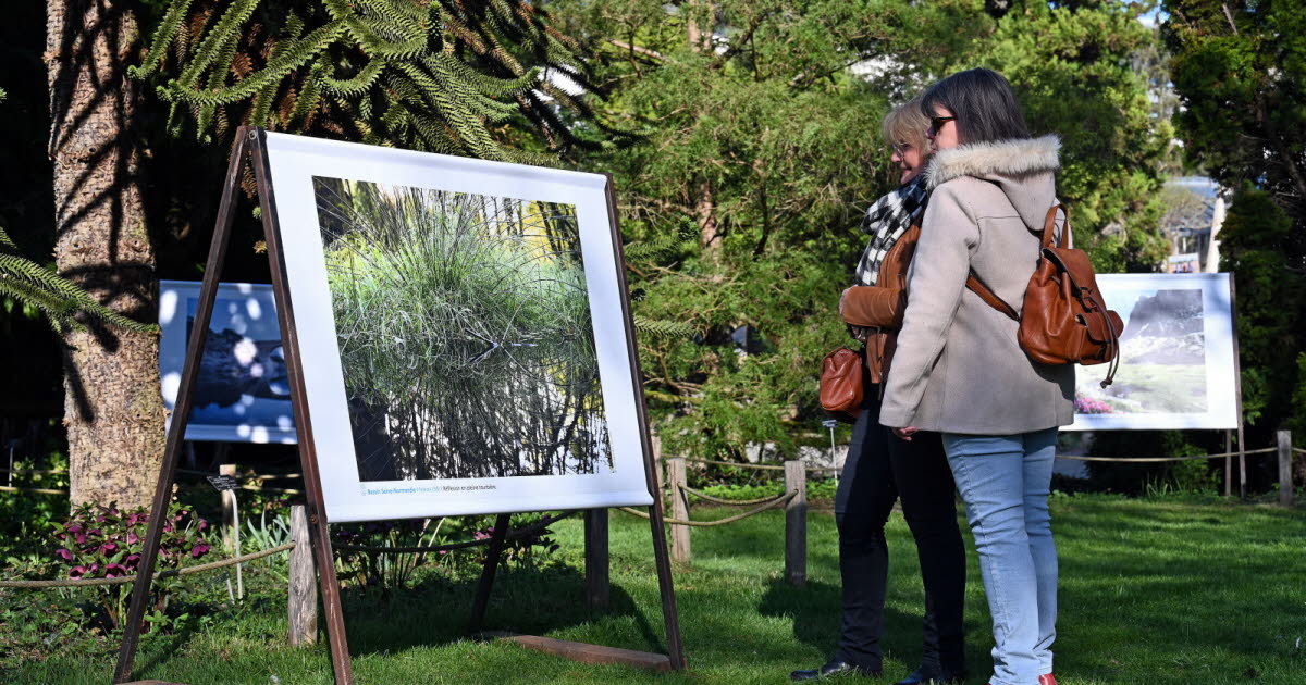 Exposition L’eau, source de vies au jardin botanique