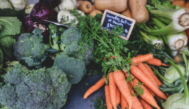 Nancy. Un marché local s’installe les vendredis au parc Sainte-Marie