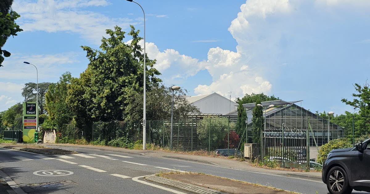 Lyon 5e. L’Avenue Barthélémy-Buyer, tronçon de la VL 8, en travaux pour six mois