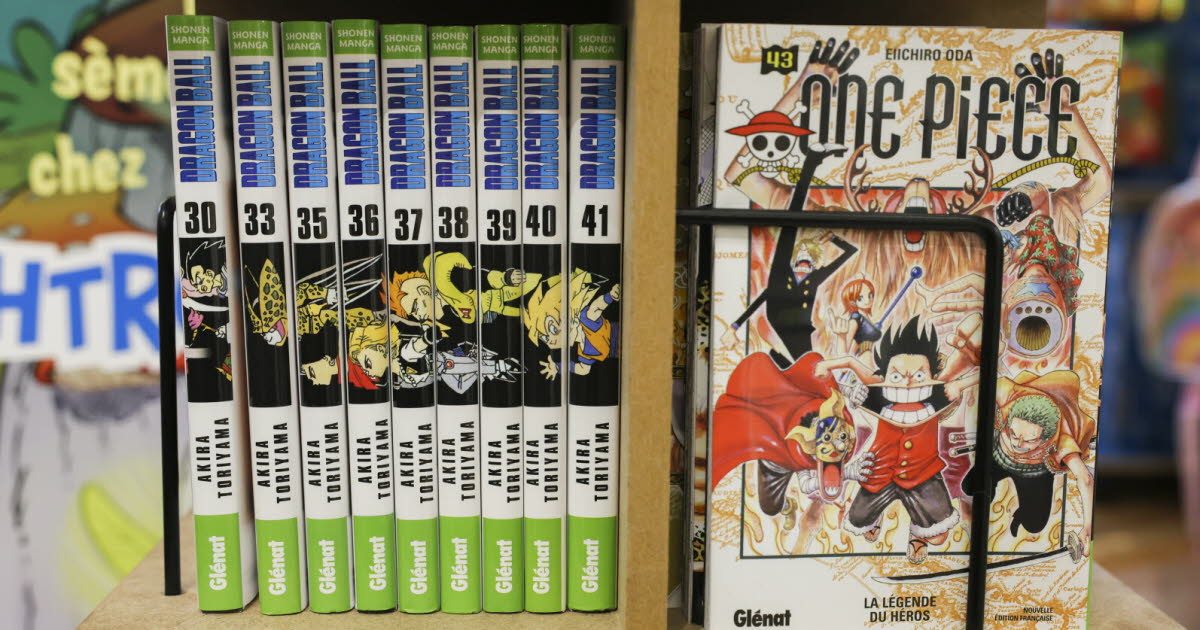 Megève. Une collecte de livres pour les bibliothèques jusqu’au 5 juin