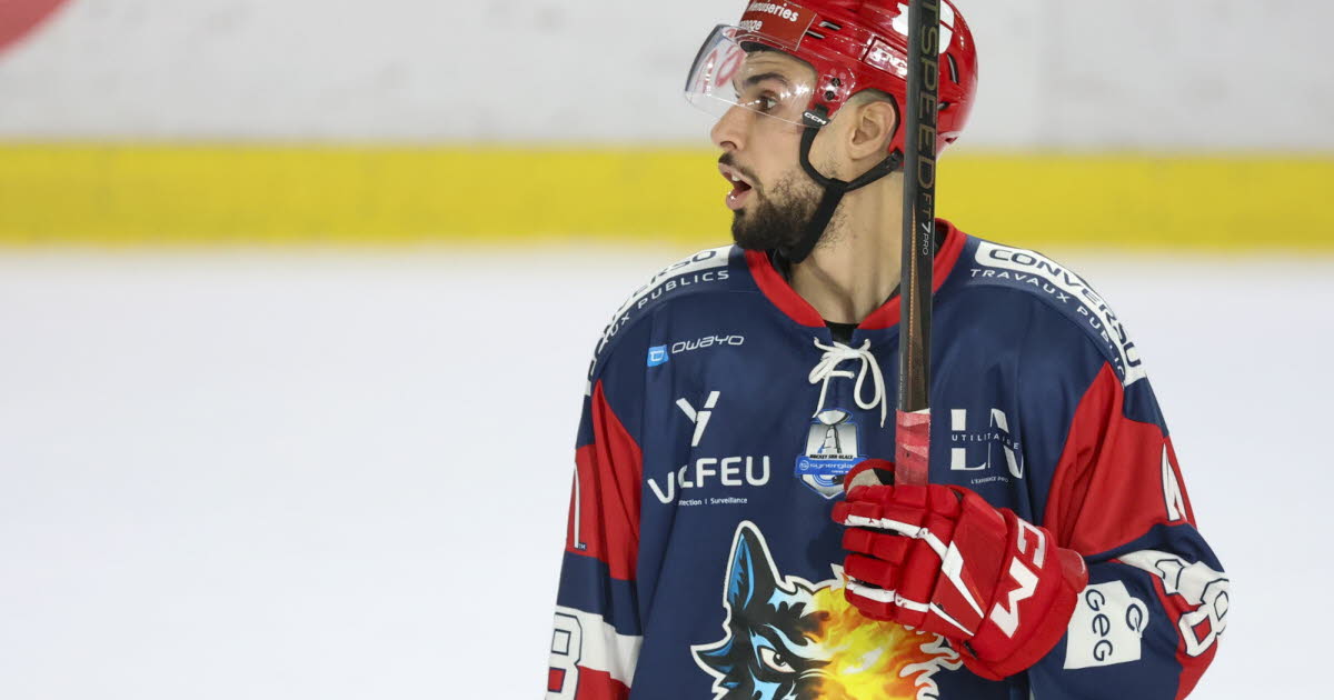 Hockey sur glace - Ligue Magnus. Brûleurs de loups : deux joueurs emblématiques vont finalement rester