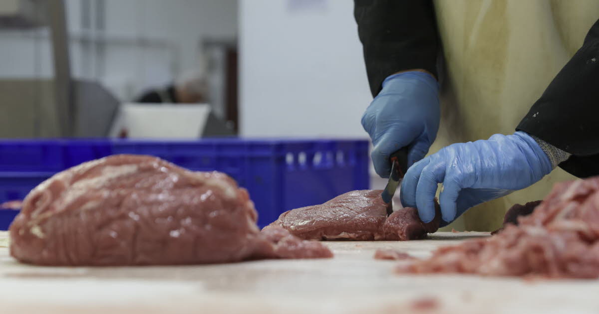 la technologie se mêle à la tradition chez le boucher charcutier tripier Atelier H