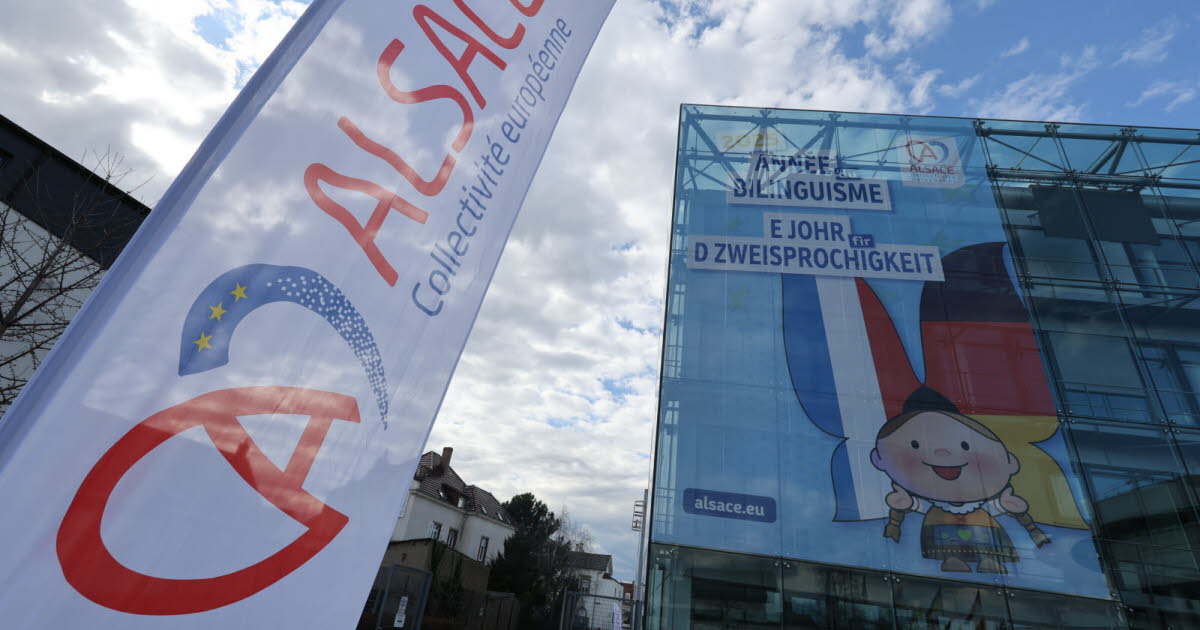 Bilinguisme. Un colloque ce samedi au FEC de Strasbourg