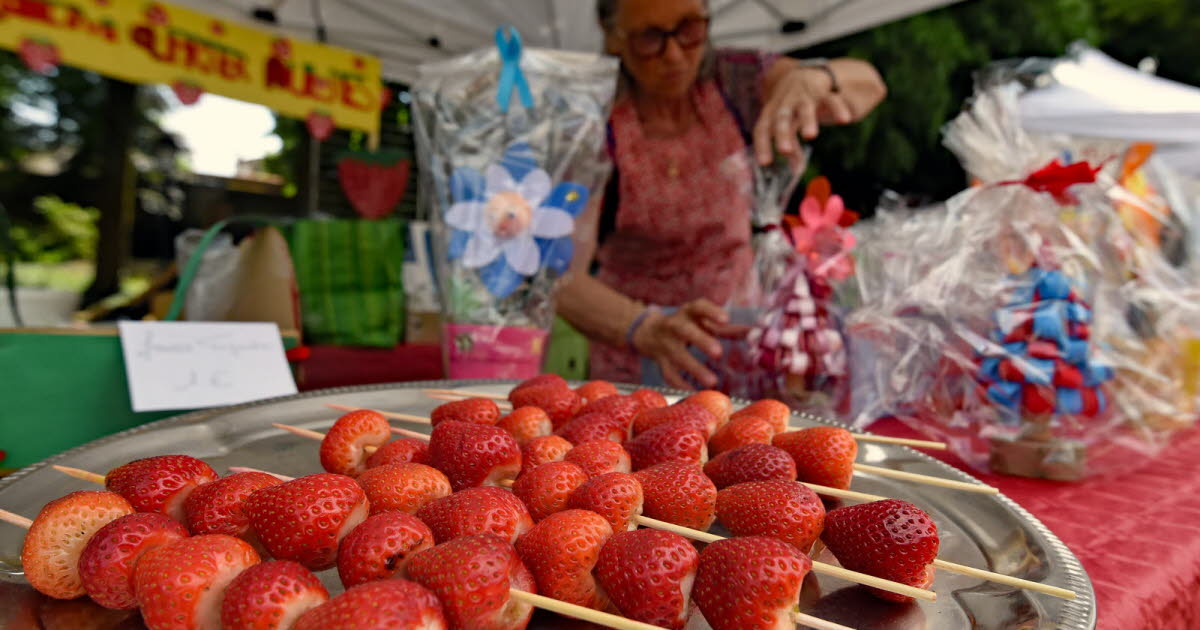 Le « savez-vous » du jour. Savez-vous comment est née la Fête des fraises à Maxéville ?