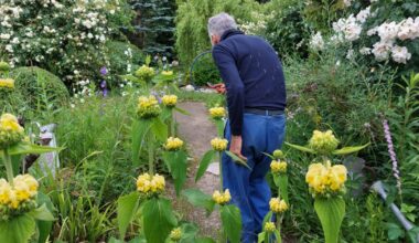 il a façonné un fabuleux jardin à deux pas de la ville
