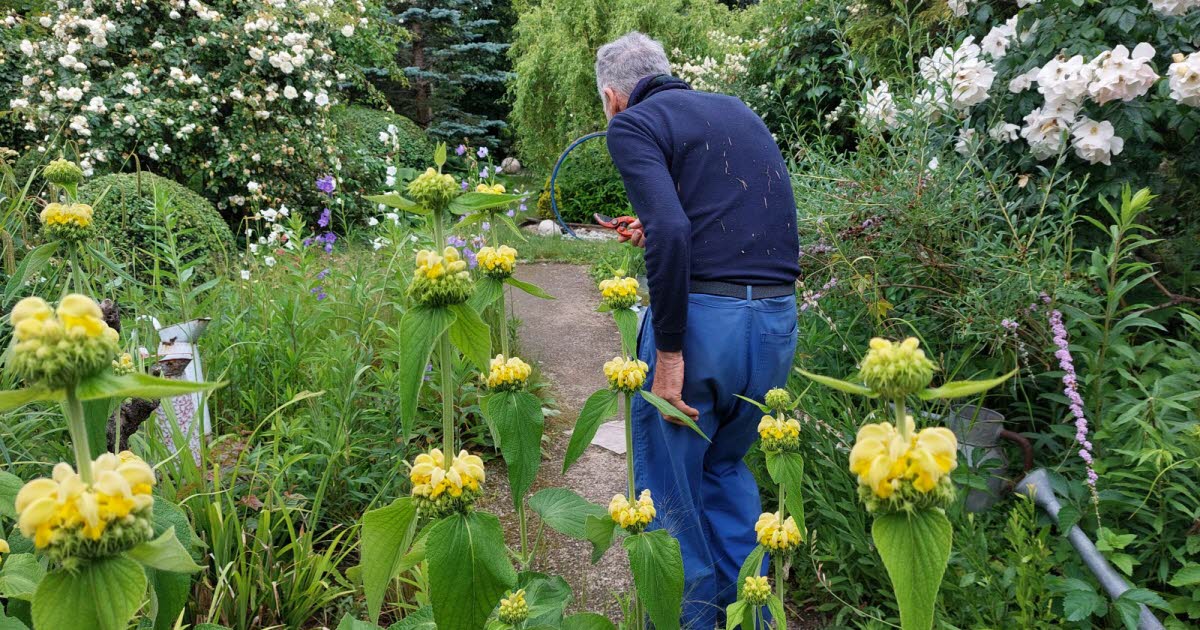 il a façonné un fabuleux jardin à deux pas de la ville