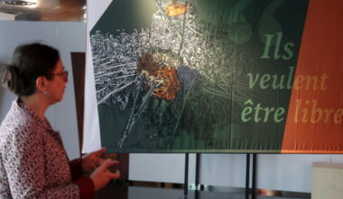 Strasbourg. Aux Archives d’Alsace, une exposition claire, complète et sensible sur la guerre des Paysans survenue il y a 500 ans