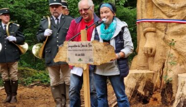 Photos. Le Chêne du roi renaît grâce à des sculpteurs dans la forêt de Bride