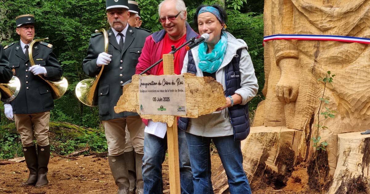 Photos. Le Chêne du roi renaît grâce à des sculpteurs dans la forêt de Bride