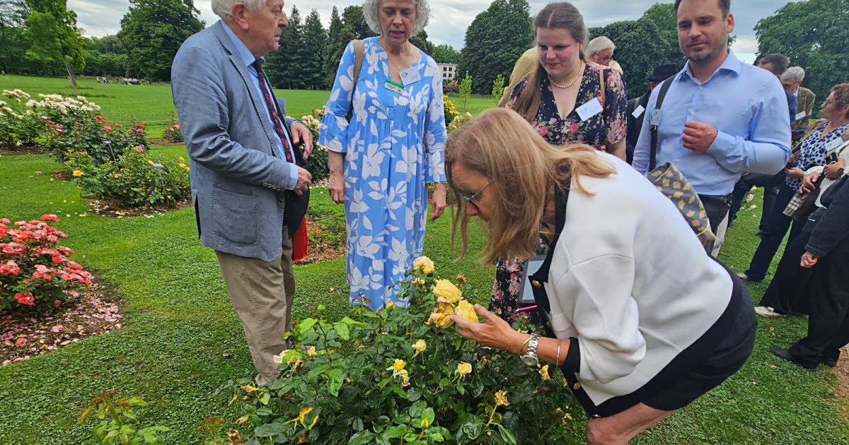 le jury en action au parc de la Tête-d'Or