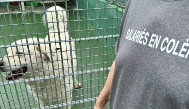 20 salariés refusent que la directrice soit poussée vers la sortie