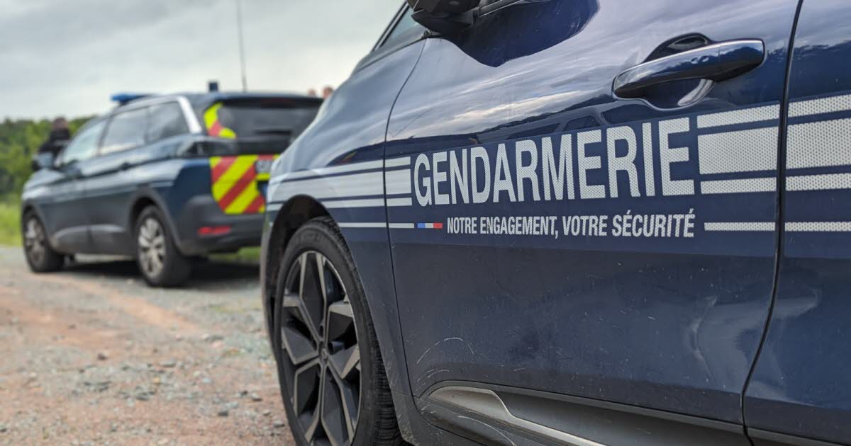 Rhône. La gendarmes empêchent une rave-party au nord de Lyon