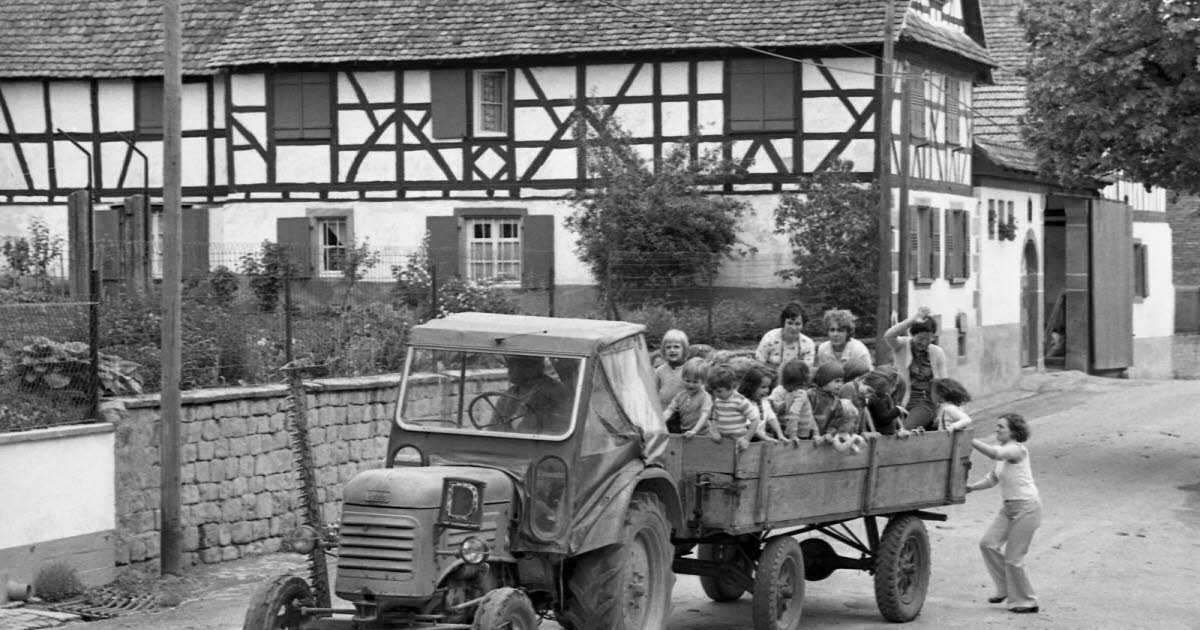 l’école à la ferme pour les élèves de maternelle