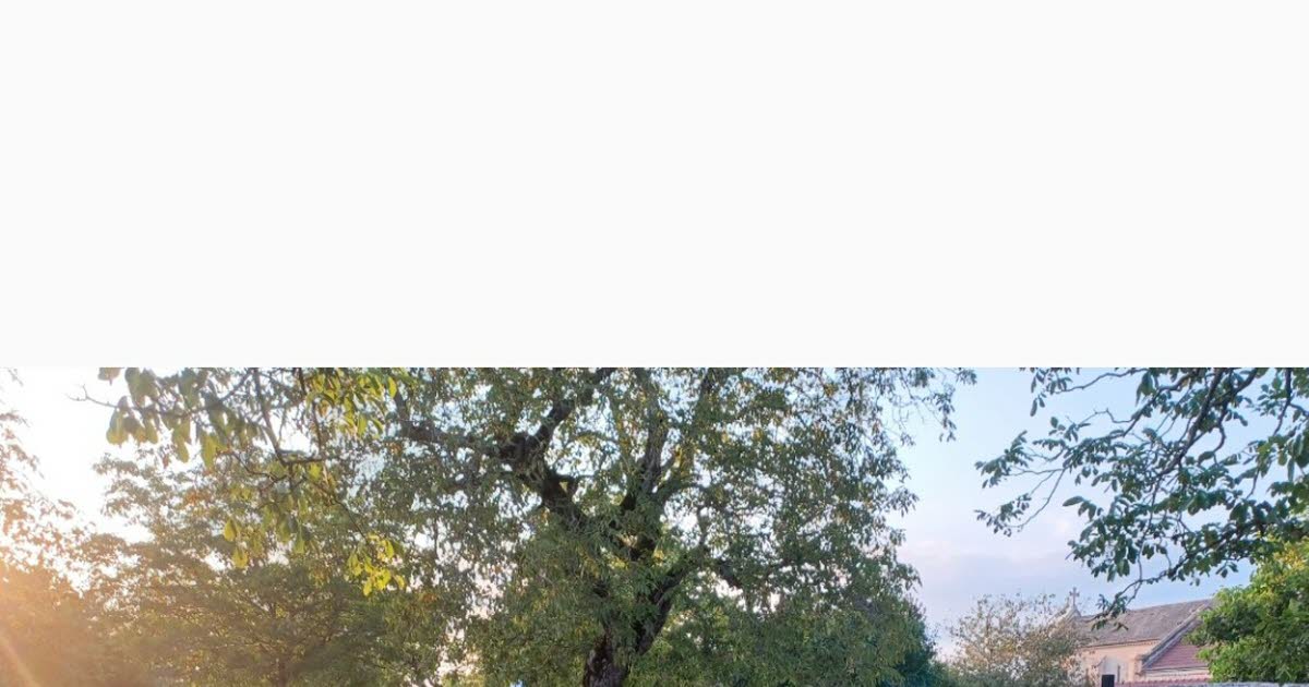 Talant. La première Terrasse d’été aura lieu ce jeudi au parc de La Cerisaie