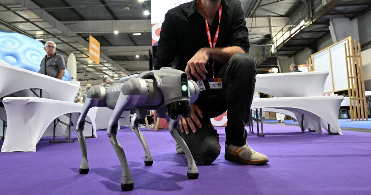 Unys ou l’alliance d’excellence pour la recherche et l’innovation