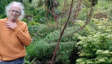 Frouard. Promenade bucolique dans le jardin de Thierry Devaux