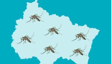 découvrez les 164 communes colonisées dans le Grand Est