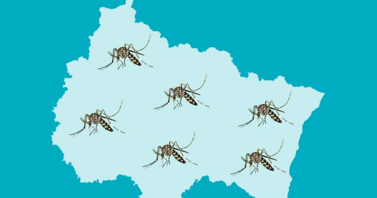 découvrez les 164 communes colonisées dans le Grand Est