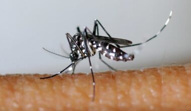 sa présence a encore doublé en un an, 22 communes désormais colonisées