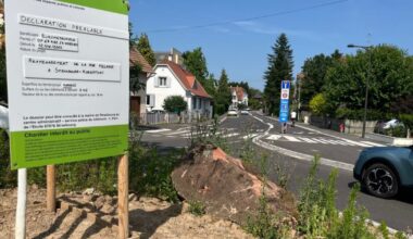 la circulation l’emporte sur les arbres et le stationnement
