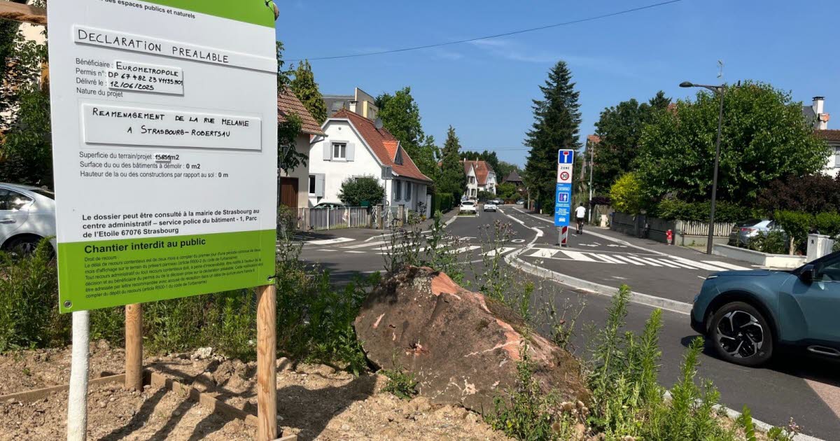 la circulation l’emporte sur les arbres et le stationnement