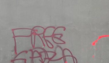 Rhône. À Lyon, deux individus interpellés et placés en garde à vue après un tag « Free Gaza »