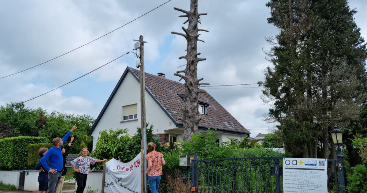 les riverains vent debout contre un projet d’immeuble