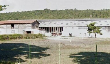 « Partir en livre » à l’écurie des Crins Noirs le 28 juin - L'Est Républicain