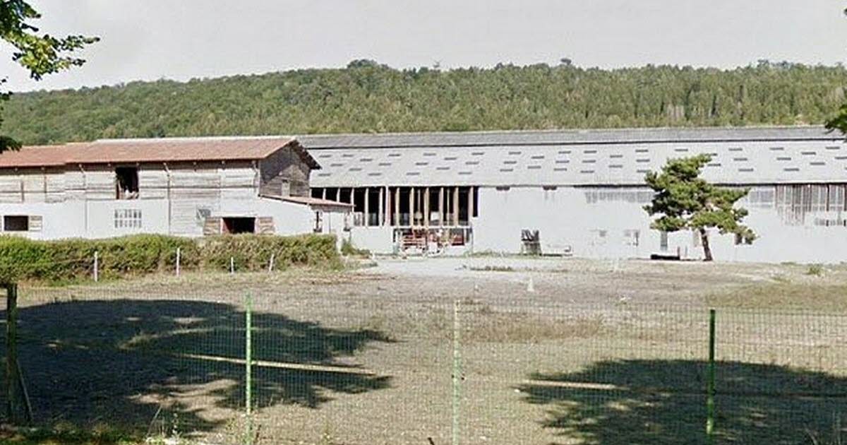« Partir en livre » à l’écurie des Crins Noirs le 28 juin - L'Est Républicain