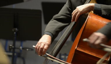 Concert de violoncelles Ça pique(s) au jardin !