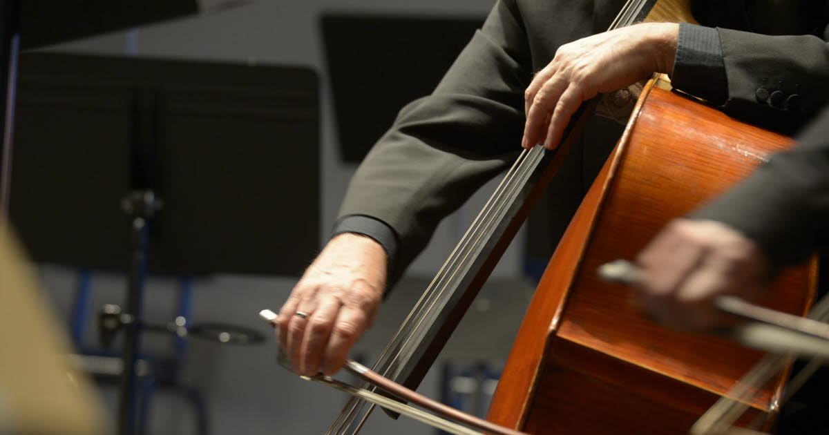 Concert de violoncelles Ça pique(s) au jardin !