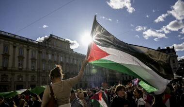 Lyon. Une manifestation pacifiste de soutien au peuple palestinien
