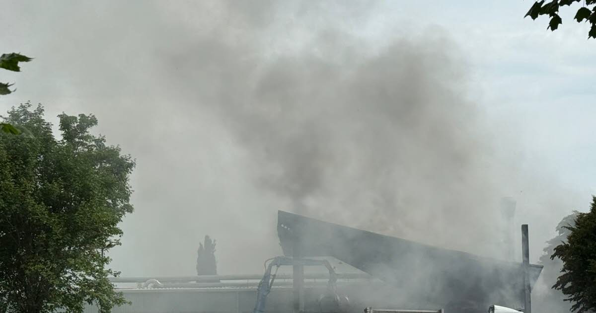 Kehl. L'entrepôt d'une société de recyclage prend feu : 70 pompiers mobilisés