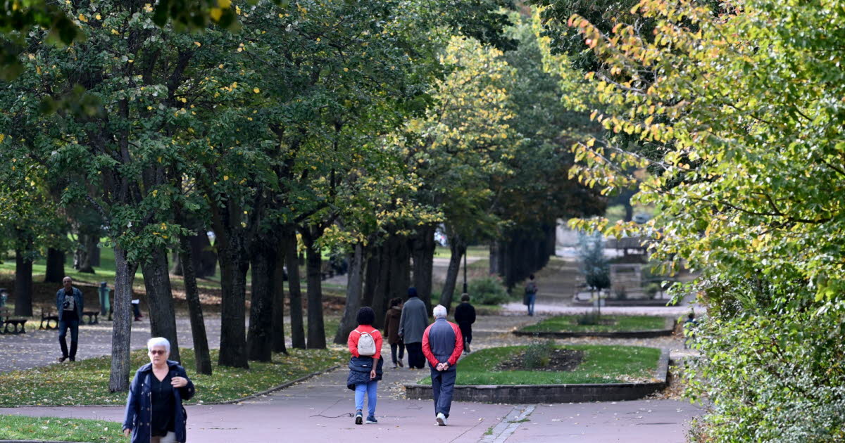 Saint-Etienne. "Stressé" par son futur mariage, il refuse le contrôle et finit en prison le jour des noces