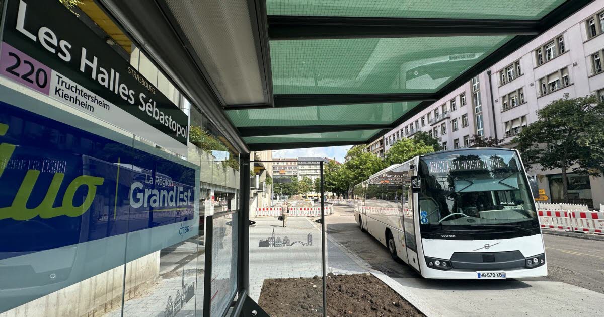 Strasbourg. Trois quais de cars interurbains entrent en service aux Halles
