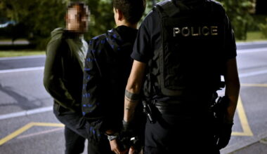 Dommartemont. Un cambrioleur, repéré par la télésurveillance, interpellé en flagrant délit