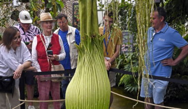 l'éclosion imminente au Jardin botanique Jean-Marie Pelt