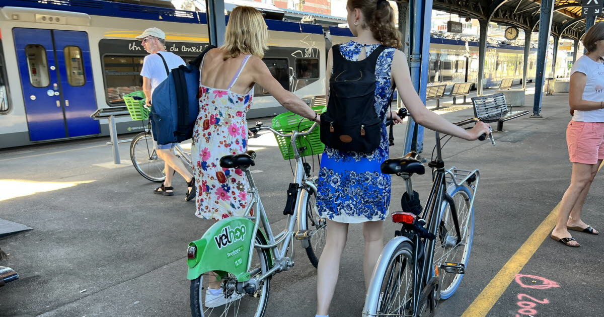 Transports. Le pass Jeunes Grand Est/Grenzenlos est reconduit pour les Français et Allemands cet été