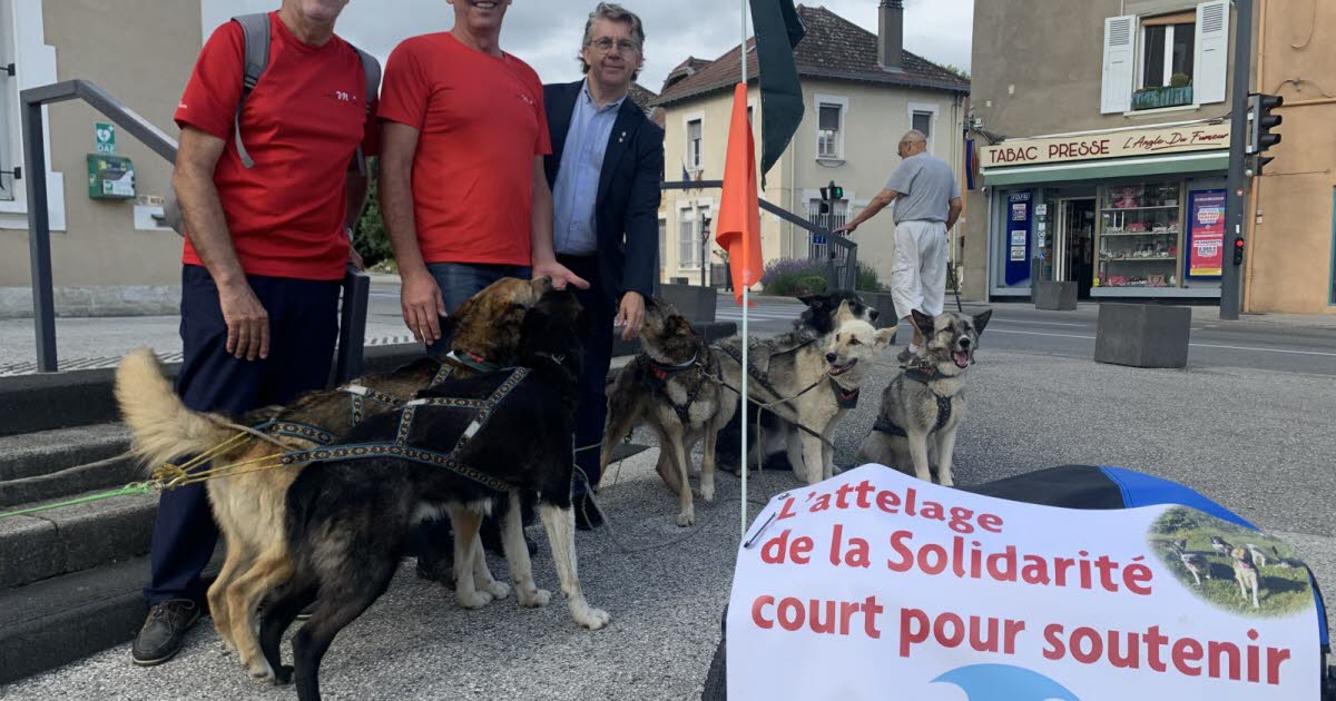 Isère. Il va parcourir 800 km à vélo avec ses chiens en faveur des enfants malades