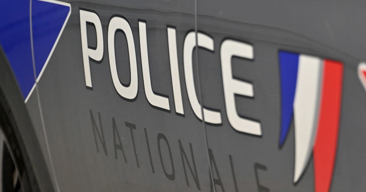 Lyon. Cinq mois de prison ferme pour un arracheur de collier