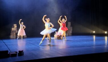 Saint-Égrève. Carton plein pour le gala de danse du Sou des écoles