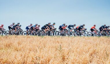 Tour de France 2025. Victoires d'étapes, maillot jaune, places d'honneur... Combien touchent les coureurs ?