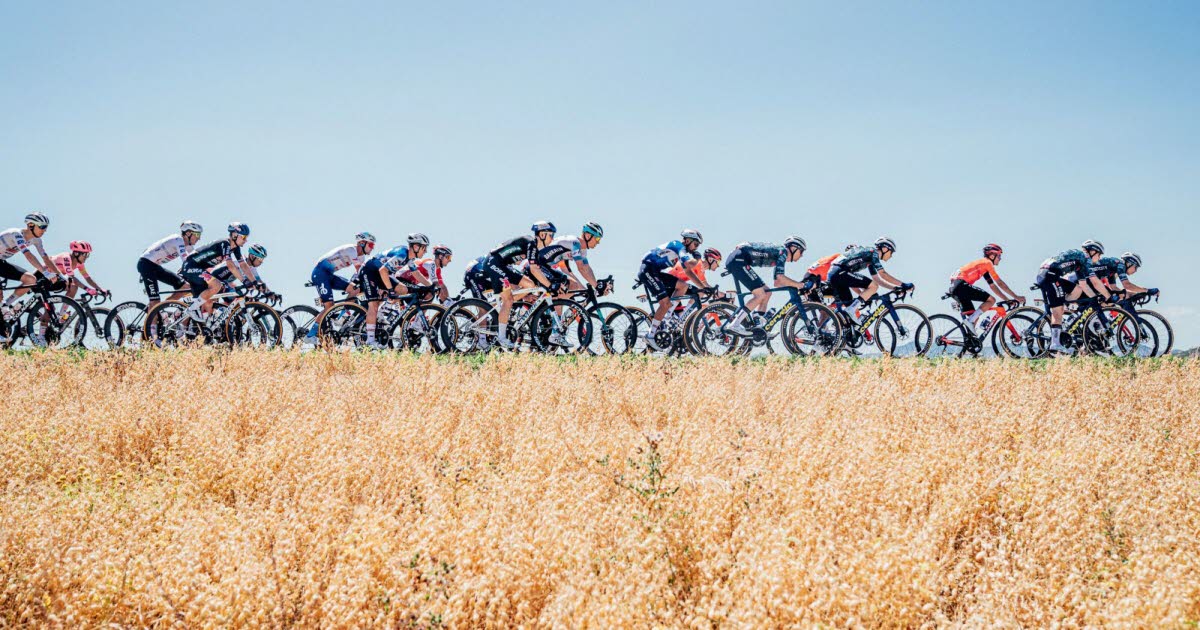 Tour de France 2025. Victoires d'étapes, maillot jaune, places d'honneur... Combien touchent les coureurs ?
