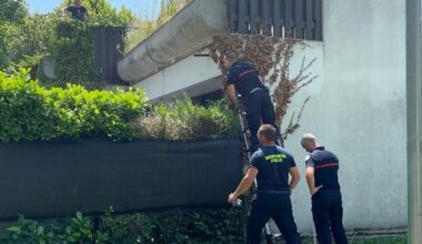 Métropole de Grenoble. Le python observé par les habitants était en réalité… une couleuvre