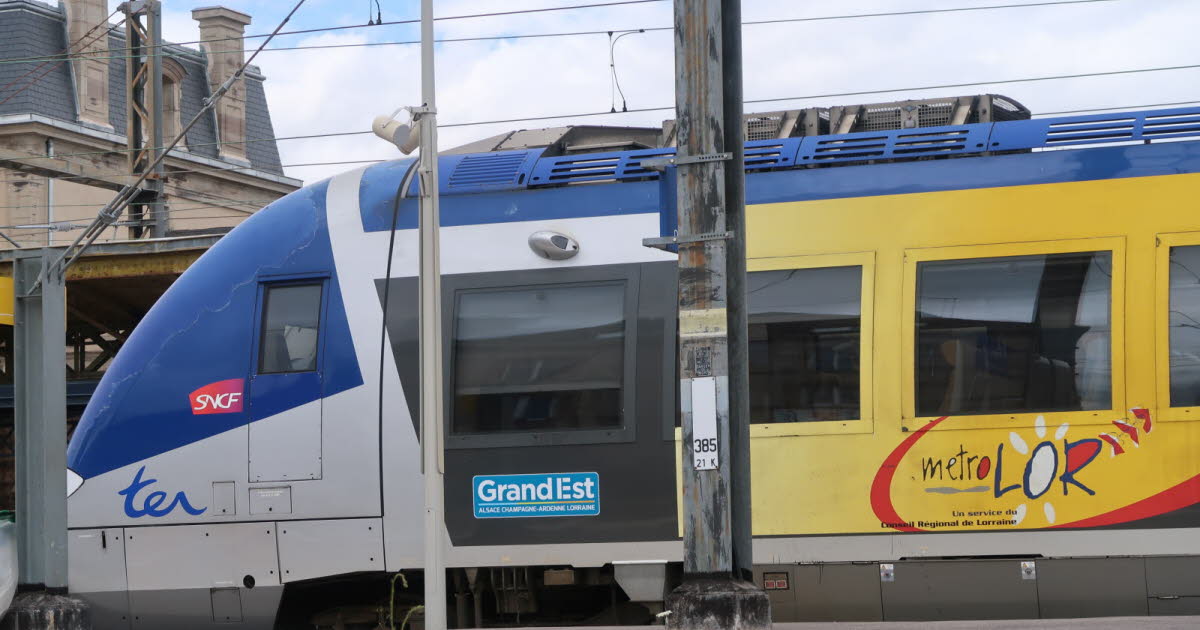 Meurthe-et-Moselle. Des trains supprimés entre Nancy et Metz cet été en raison de travaux