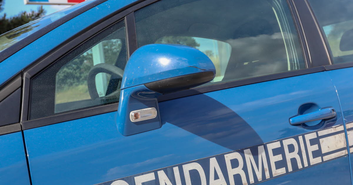 Saint-Égrève. Suspecté du vol avec violence d’une trottinette, un adolescent interpellé
