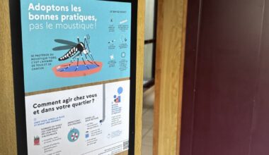 Santé. Un cas de chikungunya suspecté fortement dans la Drôme