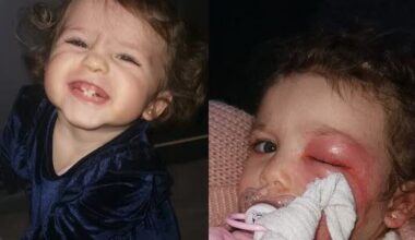 elle alerte sur les dangers des chenilles processionnaires