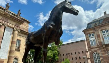 on sait ce que fait Zieme, le cheval à trois jambes, sur la place Broglie