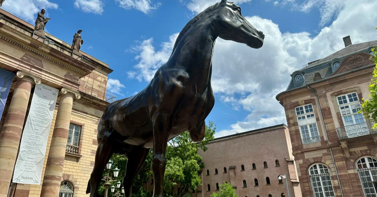 on sait ce que fait Zieme, le cheval à trois jambes, sur la place Broglie
